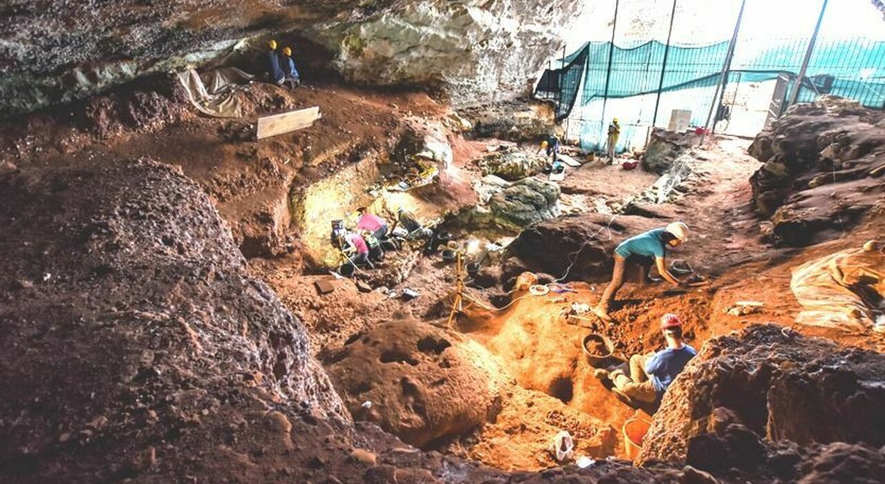 Nel Salento L Ultimo Esemplare Del Leone Delle Caverne Ritrovato