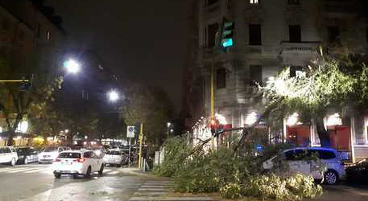 Milano Raffiche Di Vento Fino A 80 Km H Alberi Caduti Cartelloni