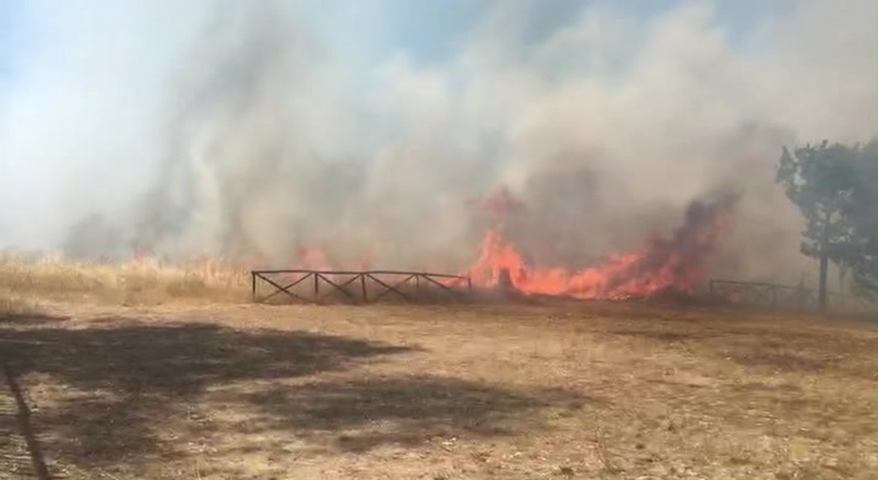 Roma Brucia Ancora Vasto Incendio A Ridosso Di Palazzi Nel Parco