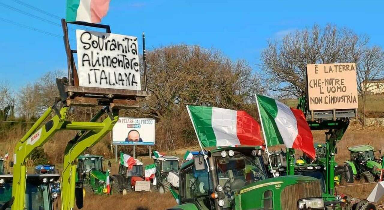 Protesta Dei Trattori Le Marche Si Mobilitano A Pesaro E Porto