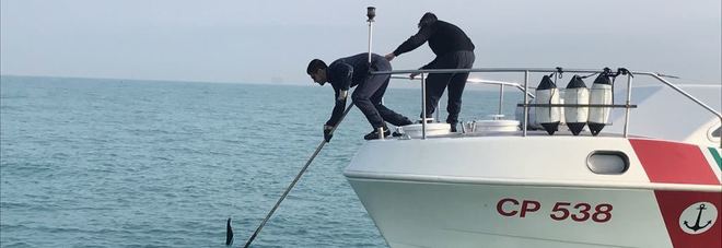 Pesca illegale, sequestrati
30 attrezzi da posta
Indagini sul proprietario