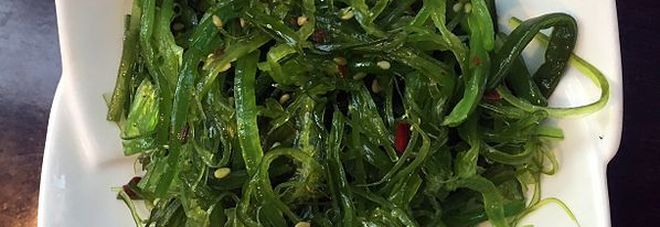 Wakame, l’alga che fa bene
al cuore e alle ossa. Ecco
tutte le proprietà benefiche