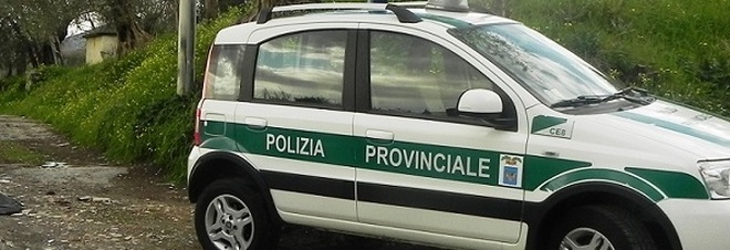 Tornano a casa con l'auto di servizio
venti agenti di polizia nella bufera