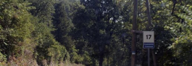 Ragazzo di 17 anni scomparso
da giorni. Contatti
interrotti, ricerche nei boschi