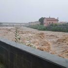 Maltempo Nel Livornese La Pioggia Battente Trasforma La Strada In Un