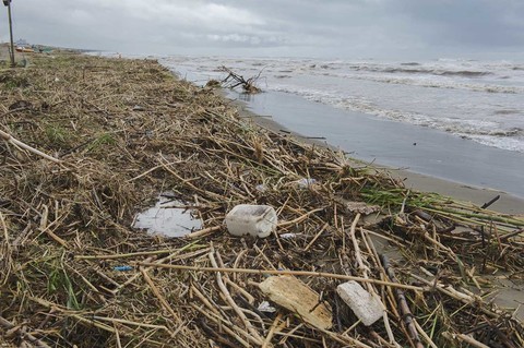 Ardea Quintali Di Rifiuti In Spiaggia A Tor San Lorenzo E