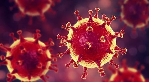 Coronavirus, la pandemia che ha sconvolto il mondo