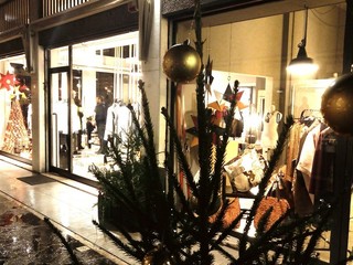 Ramosalso Galleria Placido Aldighieri vetrine curiose