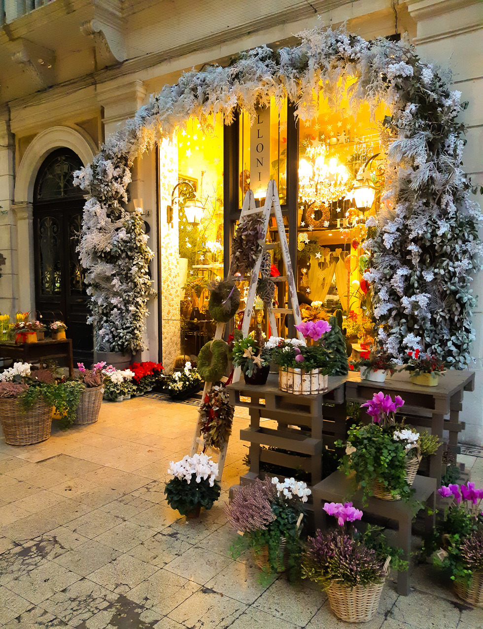 Fioreria alloni galleria Matteotti mestre 