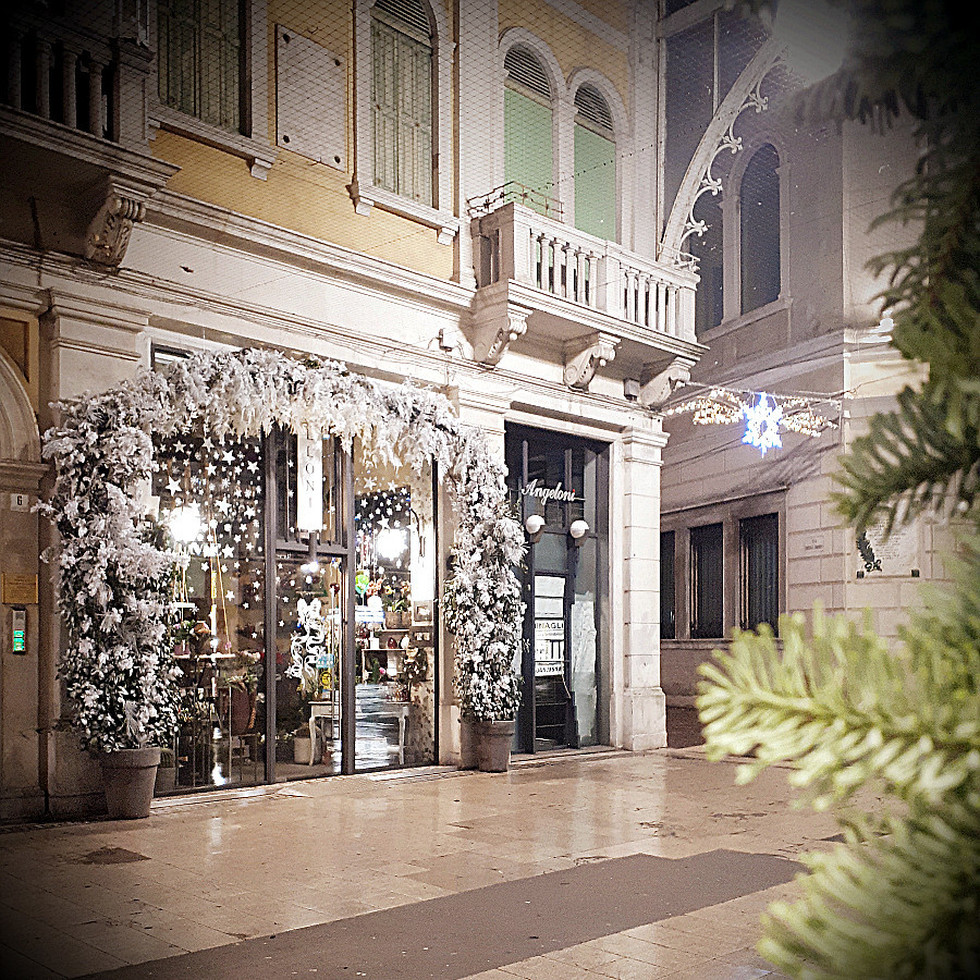 White Christmas - Fioreria Alloniv Galleria Matteotti