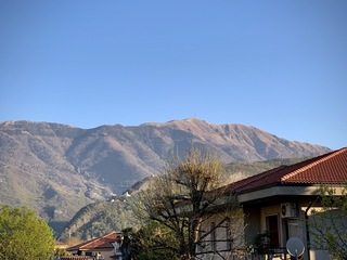 Buongiorno Visentin