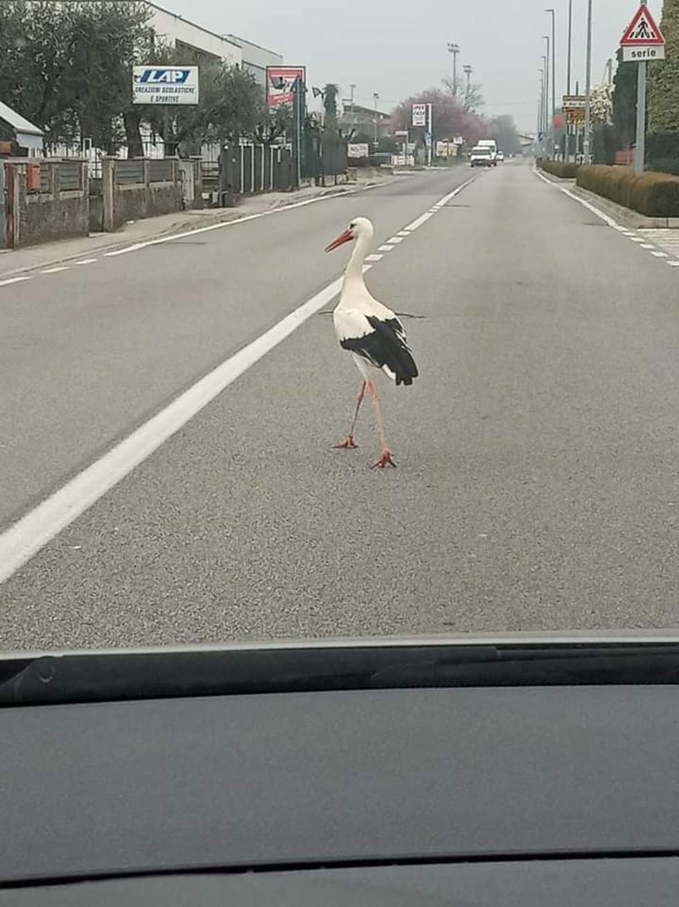 Io mi riprendo la citta
