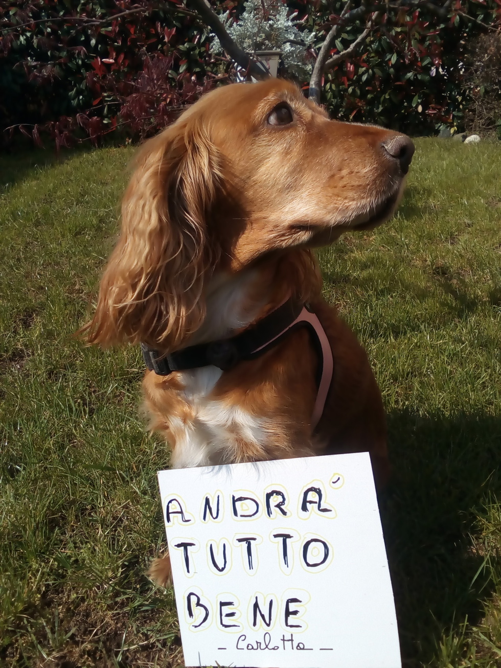 Carlotta e la speranza