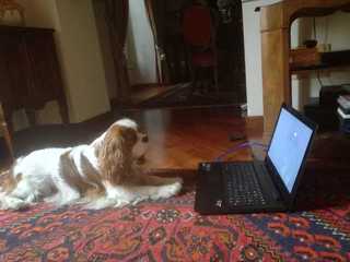 lezioni on line