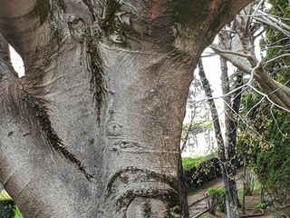 La natura ci guarda.......