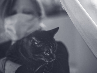 Miao