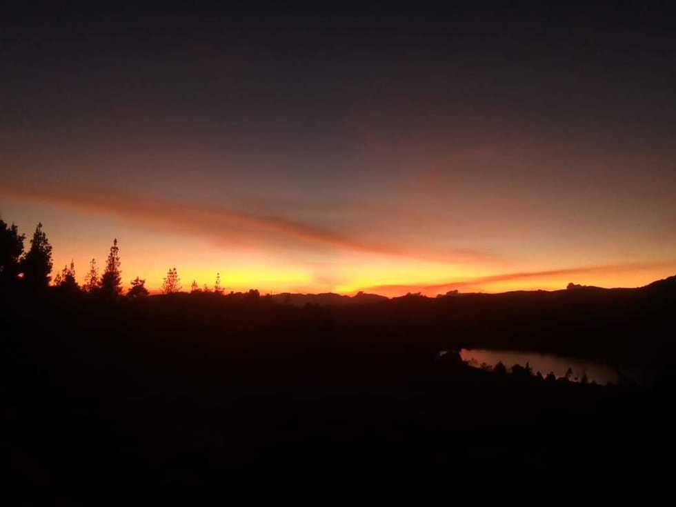 14 días, aparece la luz