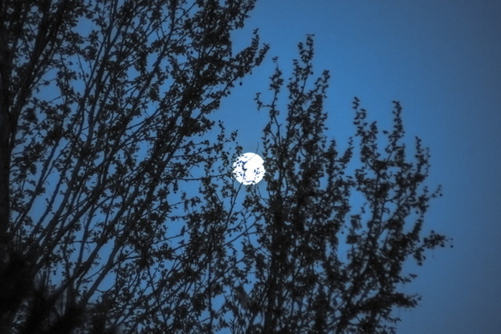 La stessa alba 
