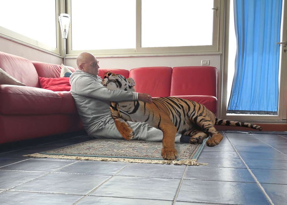 coccole