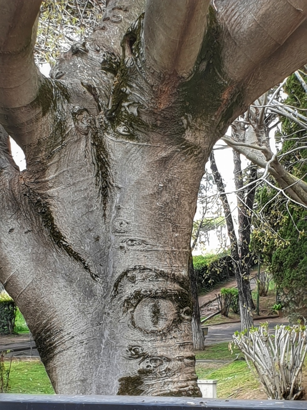 La natura ci guarda.......