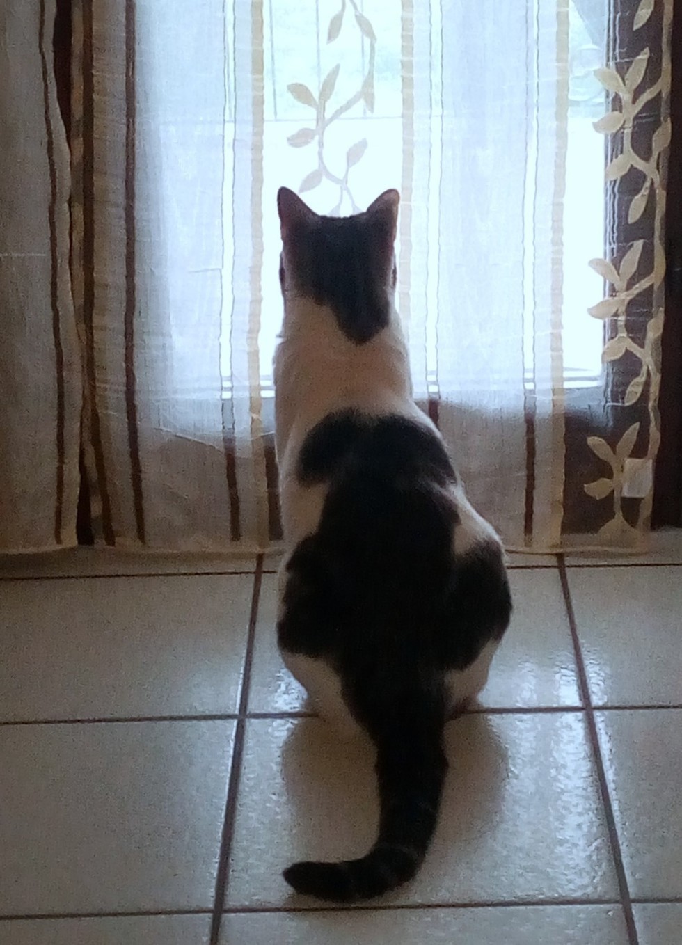 "io resto a casa!"