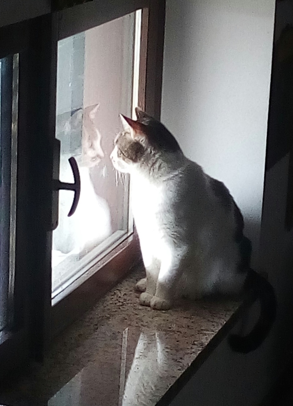 "Bello fuori!"