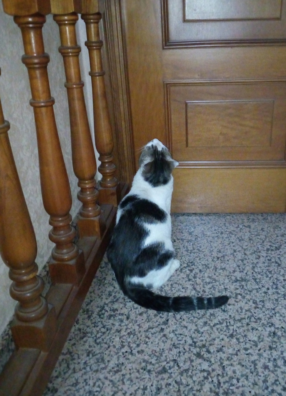 "Usciamo?"