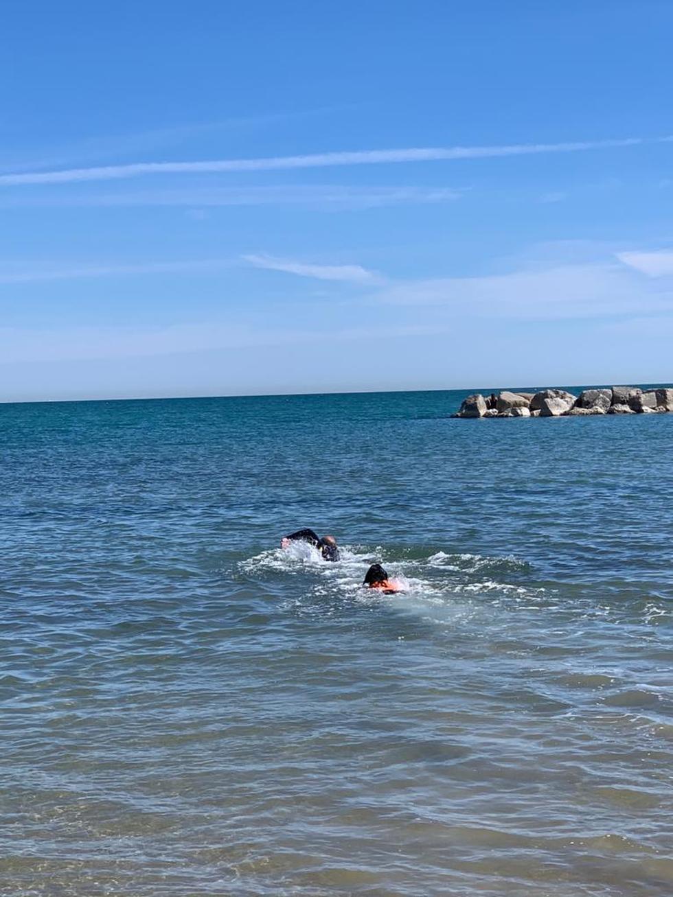 Nuotata con la cucciola AIKA,labrador di 5 mesi in addestramento per diventare unita’ cinofila da salvataggio