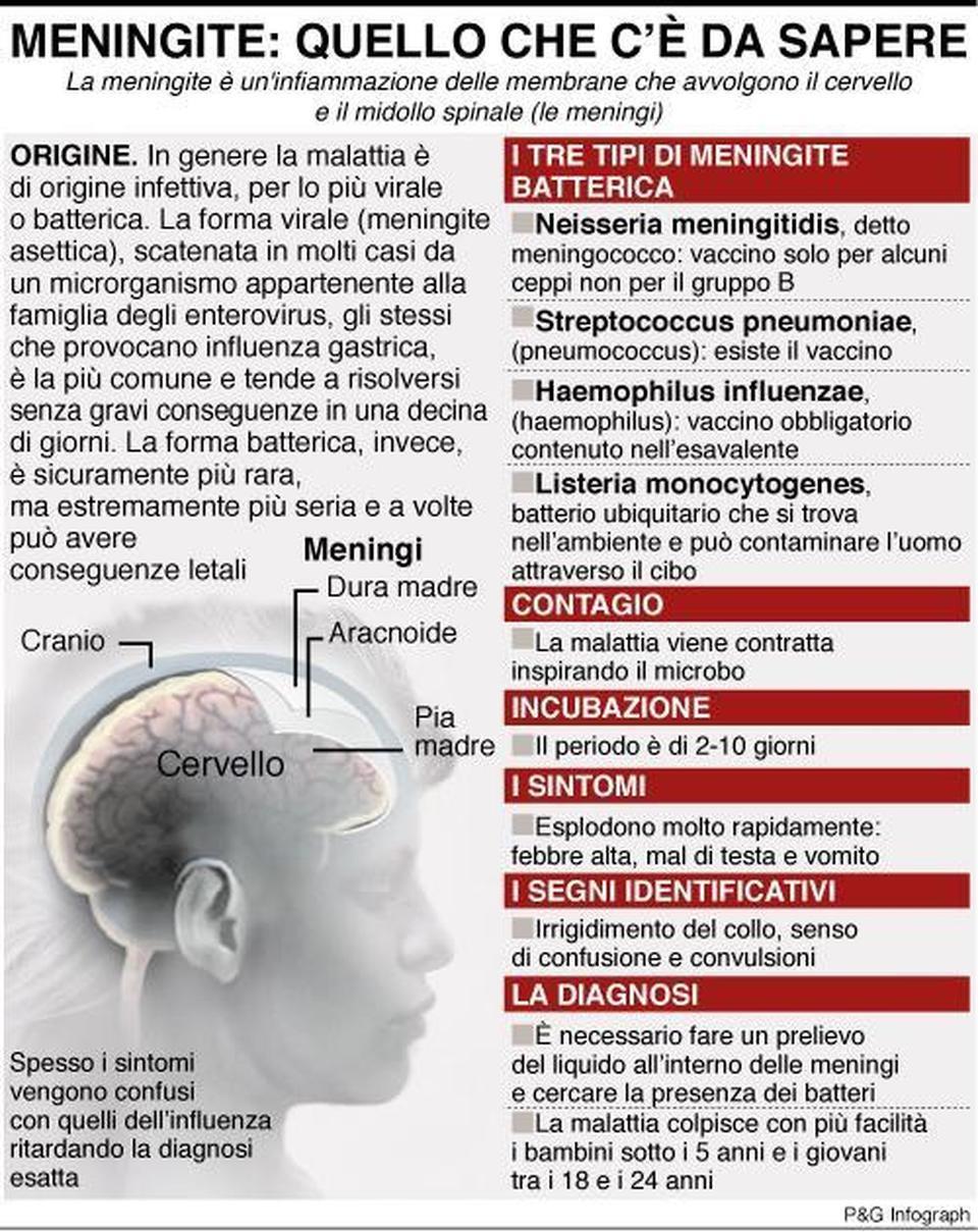 Meningite Quello Che Cè Da Sapere Su Contagio E Incubazione Scheda Leggoit 2094