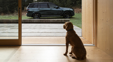 BMW X7 Poldo Dog Couture, anche fido entra nel luxury. Modello unico pensato per viaggiare con amici a quattro zampe