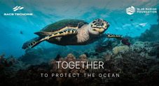 Sacs-Tecnorib in campo per salvare il mare con Blue Marine Foundation