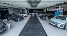 Dealer Network Study 2025, gli imprenditori multi-costruttori superano i monomandatari