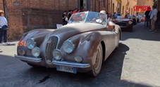 Mille Miglia 2025, auto d'epoca sfilano per le vie di Roma