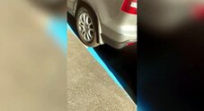 Roma, parcheggia l'auto nelle strisce bianche e le ritrova blu con tanto di multa: il video diventa virale