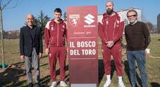Gli alberi di Suzuki per il “bosco del Toro”. Sempre più green il marchio giapponese