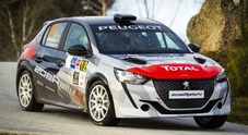 Peugeot, un 2020 all'insegna dei rally: dai trofei Competition al ritorno di Andreucci