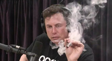 Elon Musk farebbe uso di droghe, vertici di Tesla e SpaceX preoccupati. Wsj, “l’uso potrebbe pesare sui contratti governativi”
