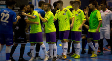 Lollo Caffè Napoli - Italservice Pesaro «soltanto» 4-4