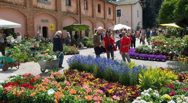 La tradizionale kermesse dedicata al verde FloraCult si può visitare fino al 25 aprile