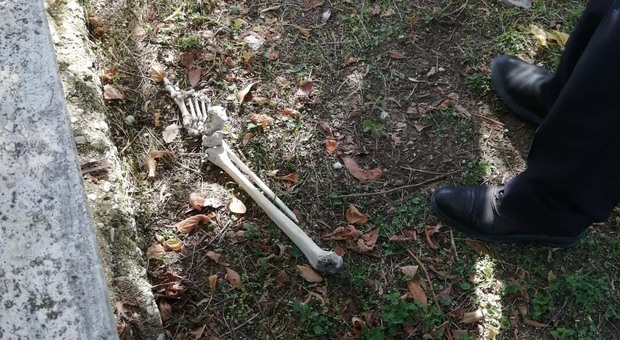 Le ossa ritrovate a Monticelli