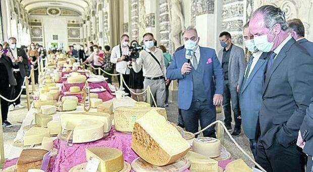 Caseus Veneti, premiati i migliori formaggi