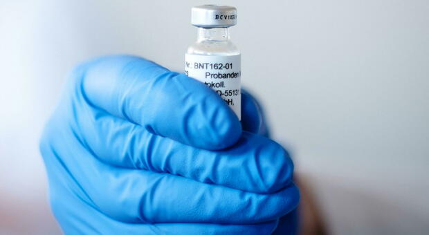 PIANO VACCINALE Il sistema sanitario sta predisponendo il piano per i vaccini ma Rovigo non è attrezzata
