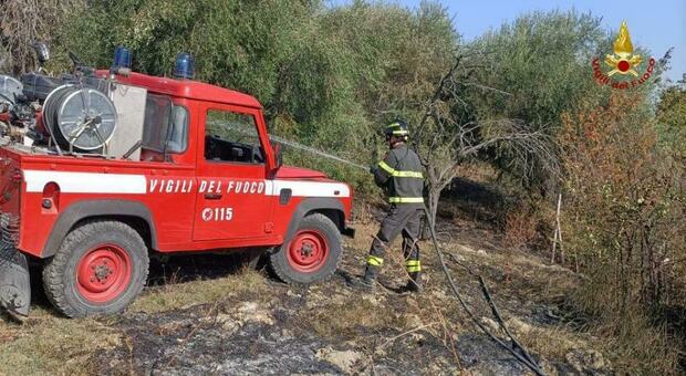 Incendio sulla strada provinciale ad Acquaviva Picena, le fiamme avvolgono un vigneto: in fumo 5mila metri di vegetazione