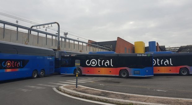 Cotral, entro Natale in strada 50 nuovi bus: boom (+60%) dei biglietti con l'autista-controllore