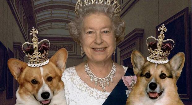 A chi andranno i cani Corgi della regina? Elisabetta II aveva già pensato anche a loro