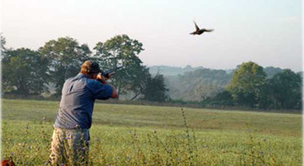 Strage di uccelli di una specie protetta: divieto di dimora per due cacciatori