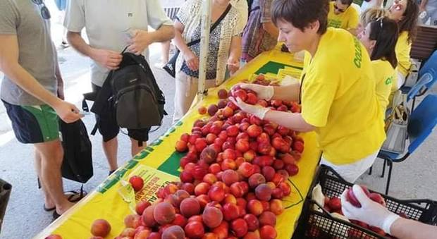 Coldiretti regala la frutta: «Meglio offrirla gratis. La vendono a 4 euro al chilo, agli agricoltori 20 cent»