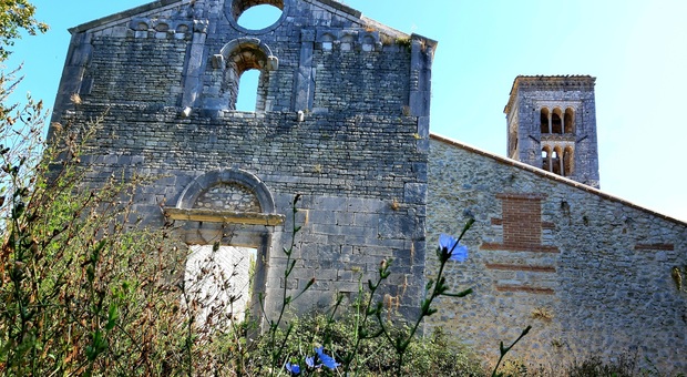 Lungo il Cammino di San Benedetto, dove fioriscono i cardi selvatici blu: dal borgo di Orvinio all'Abbazia della Madonna del Piano