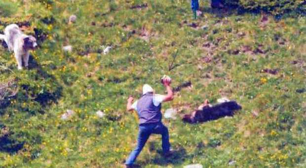 La foto choc Uccidono un cane a sassate: ma un turista...
