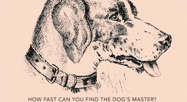 Quanto ci metti a trovare il padrone del cane? Il rompicapo che fa impazzire il web